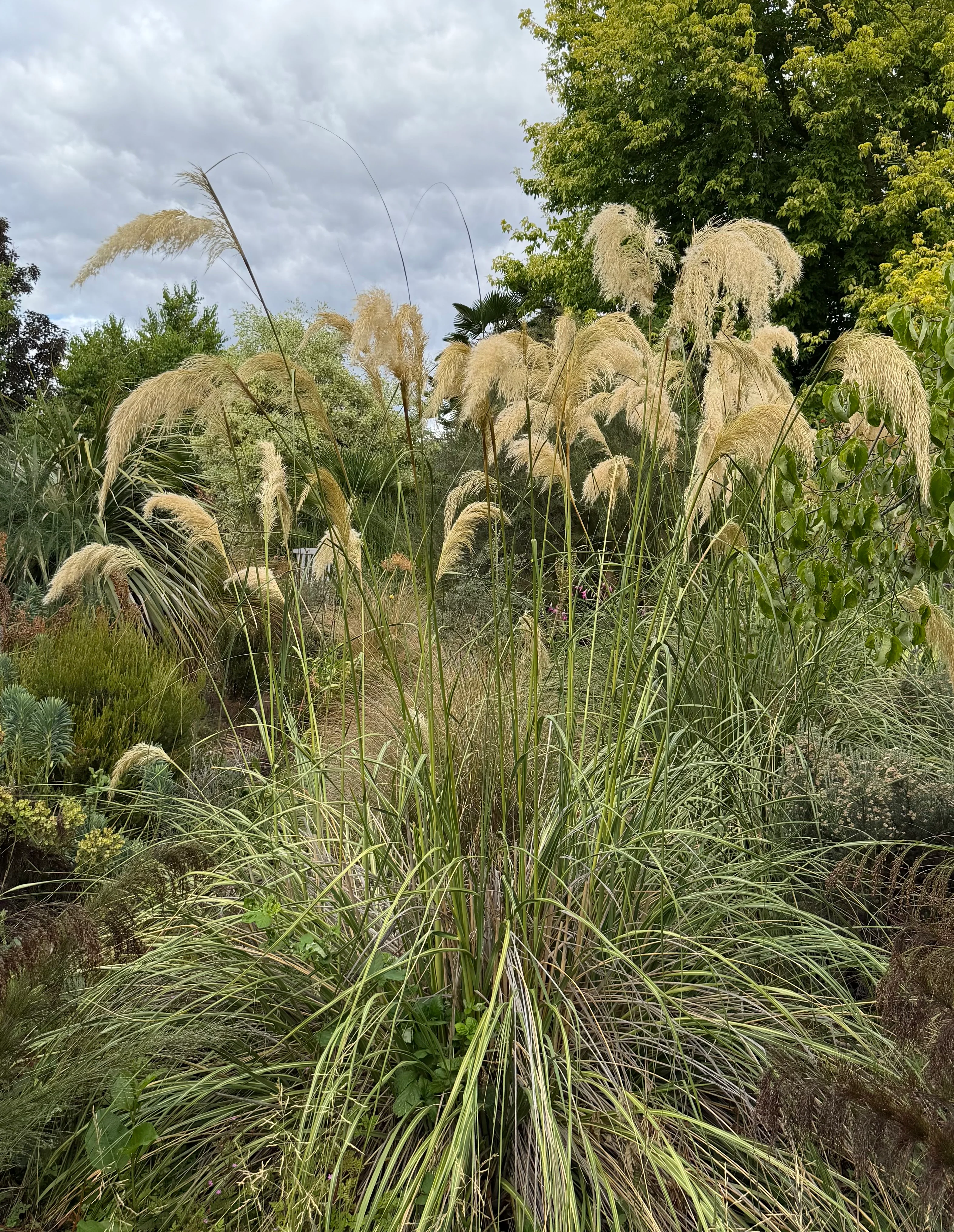 New & Noteworthy Mail Order Plants